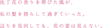 沈丁花の香りを帯びた風が、私の髪を揺らして過ぎていった。辺りを見回しても、花の姿は見えない。