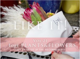 “直接ココロに響く花”を届けるフローリスト logi PLANTS&FLOWERS/ロジ プランツ&フラワーズ 表参道